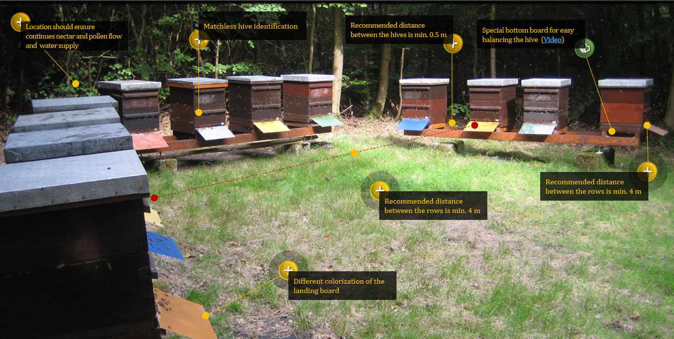 Apiary Management Graph