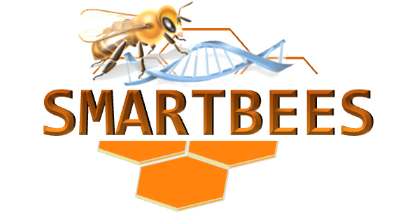 Smartbees Logo